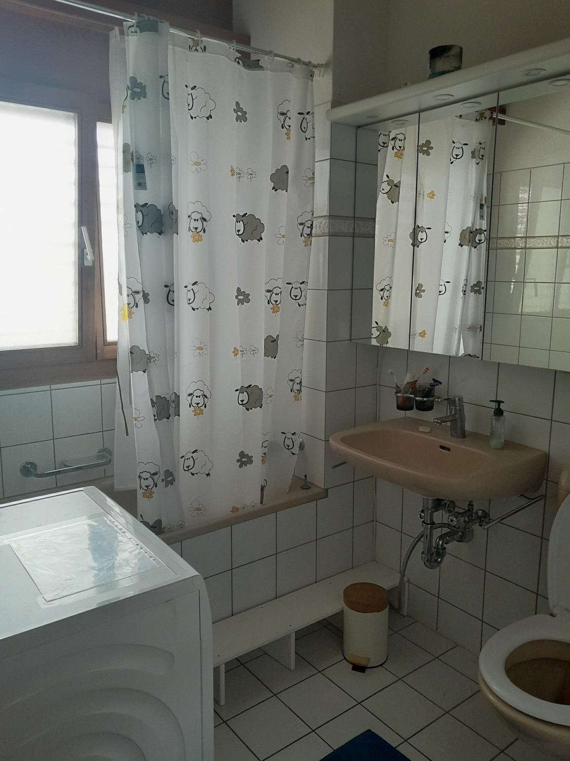 Appartamento di 4 ½ locali