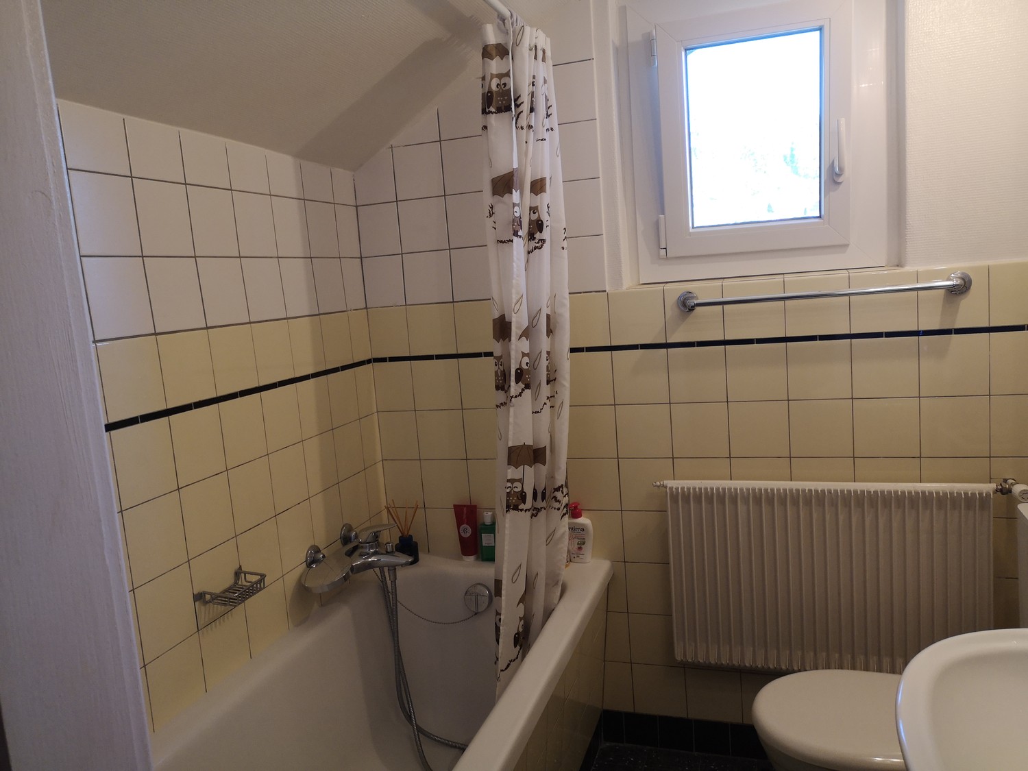 Appartamento di 3 ½ locali