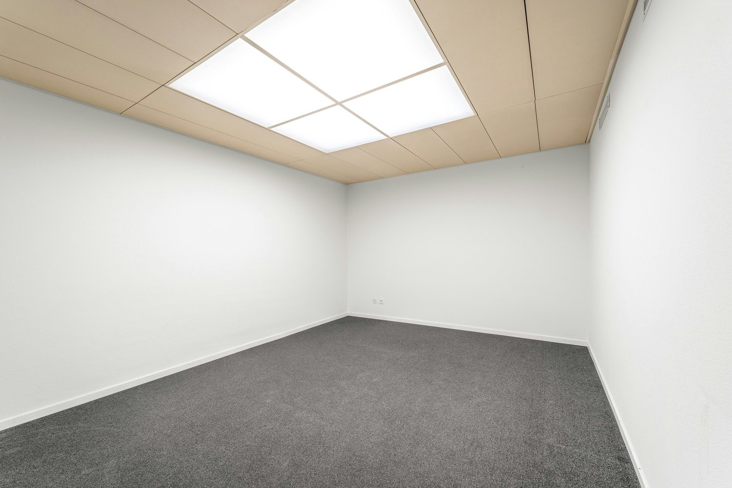 264m² office