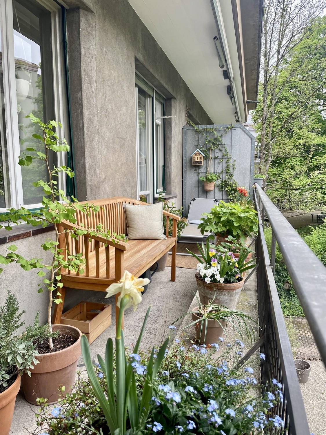 Appartement de 2 ½ pièces