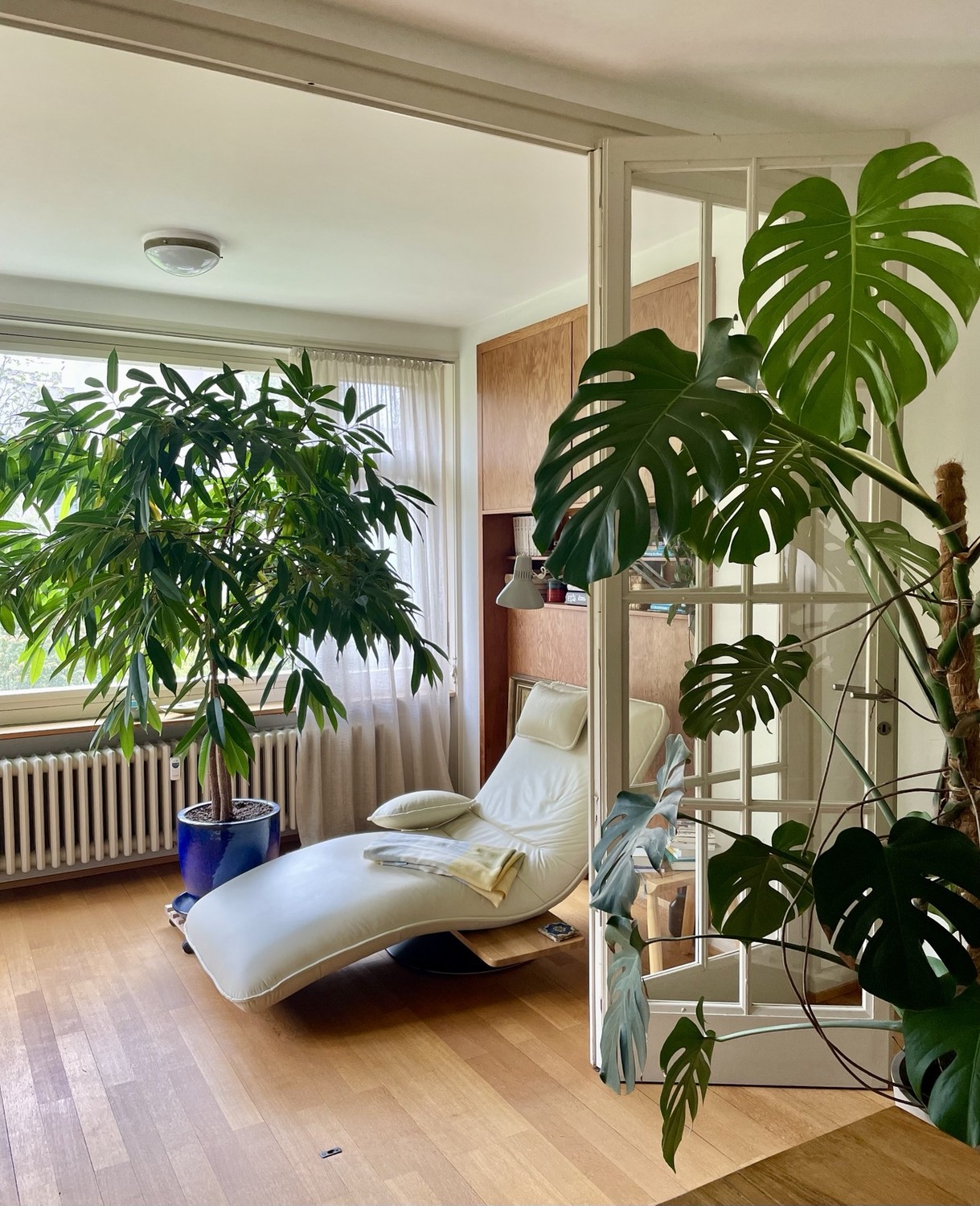 Appartement de 2 ½ pièces