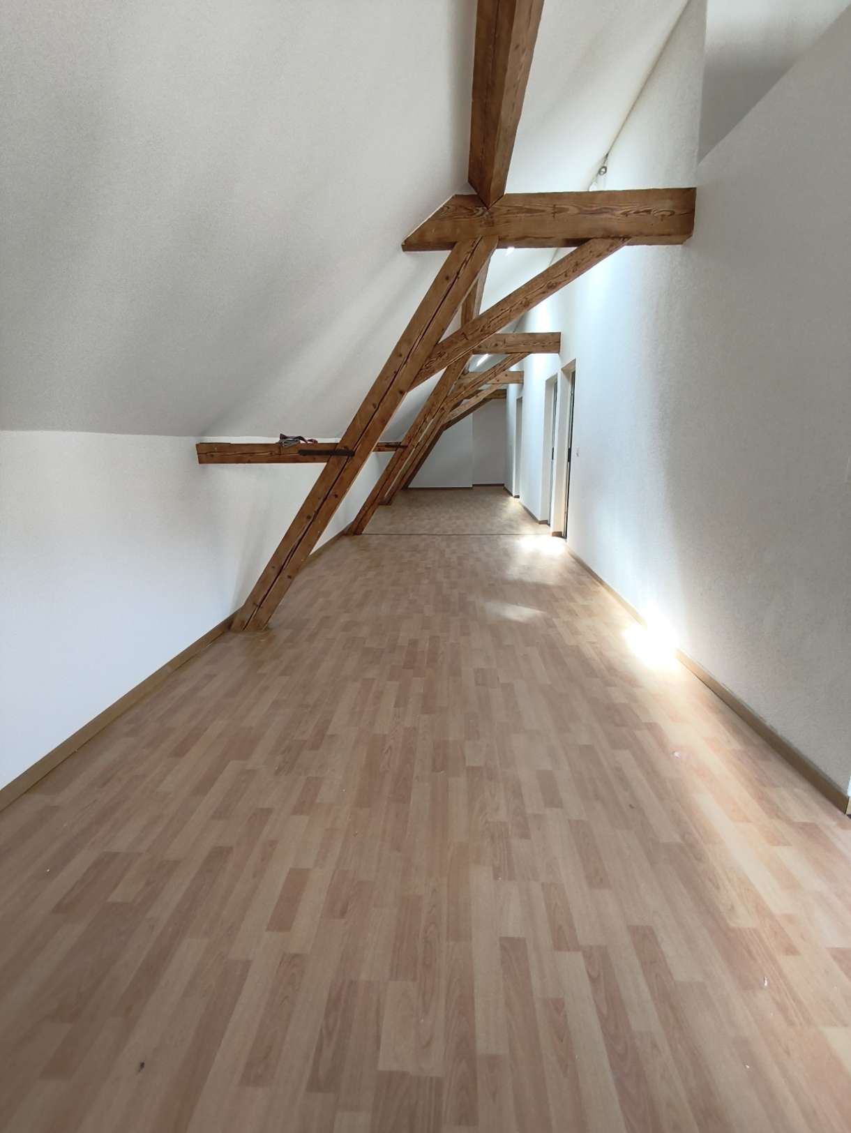 loft di 1 stanza