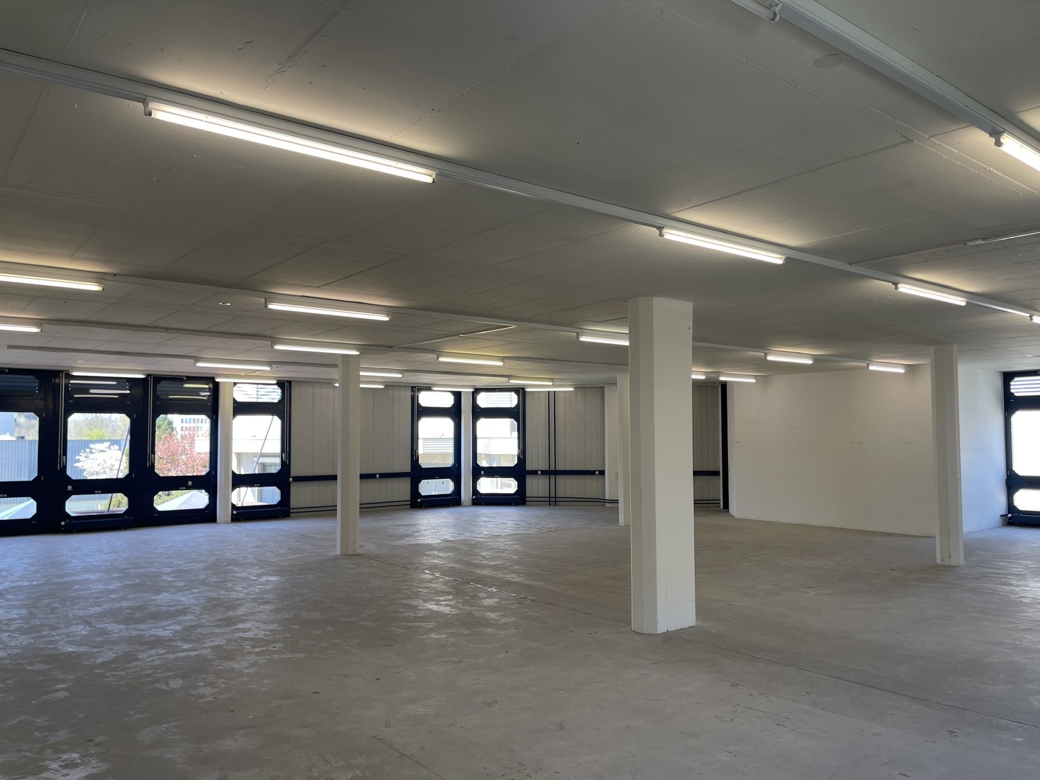ufficio di 263m²
