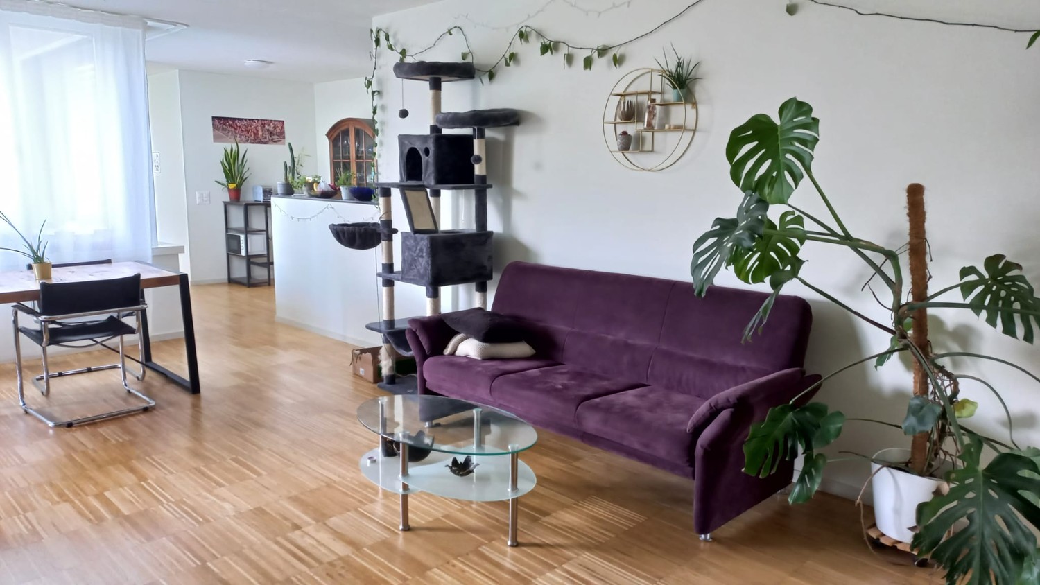 Room in a shared flat
