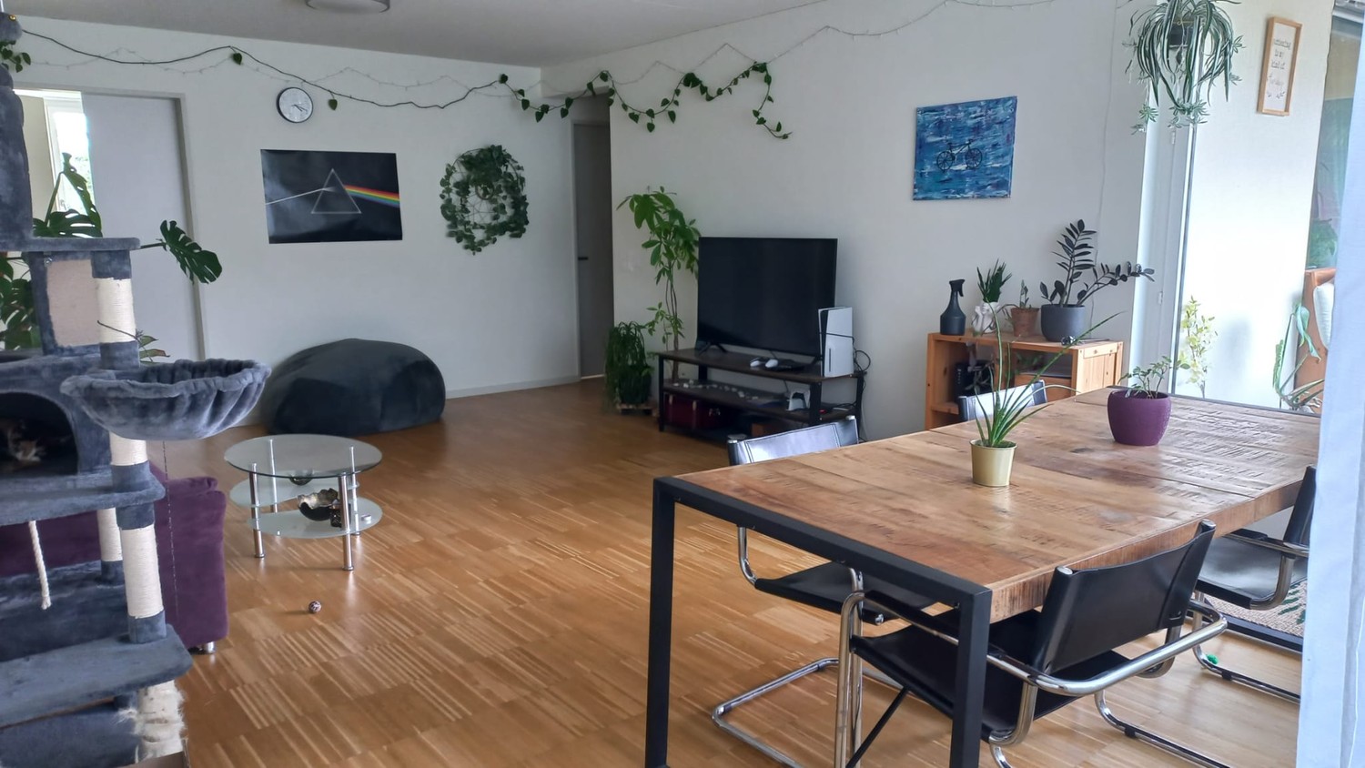 Room in a shared flat