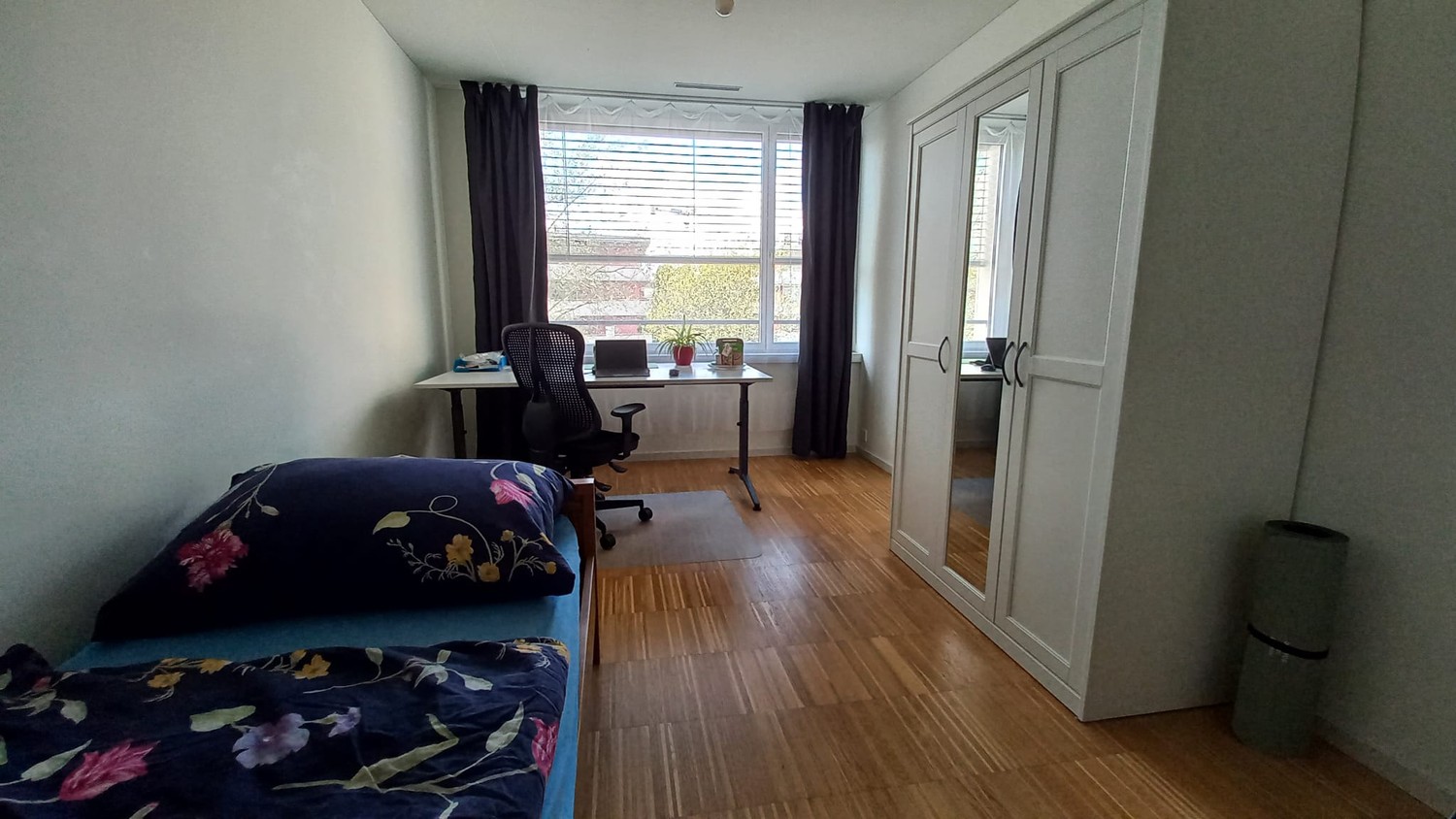 Room in a shared flat