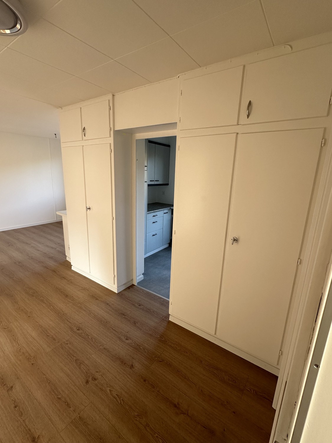 Appartement de 3 ½ pièces